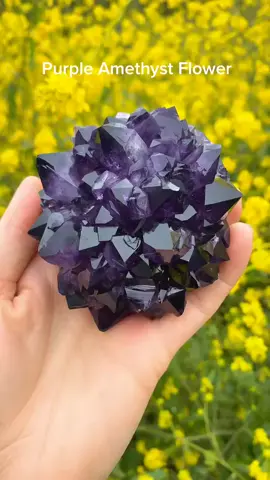 Which crystal would you pick? @rocksforthespiritt #foryou #fyp #foryoupage