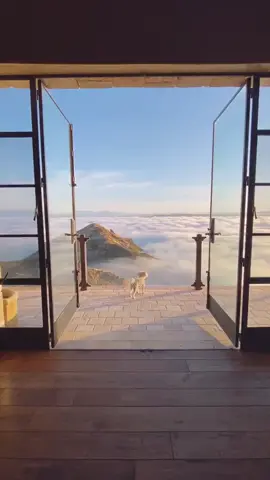 Is this heaven? 😍 Who would you be here with?  #fyp #fouryoupage #satisfying #airbnb #tilktoktravel @maliburockyoaks