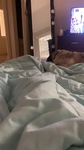 it’s one of those sad days in bed