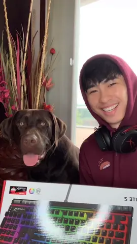 HyperX Alloy Elite 2 Keyboard Arrives Tomorrow 🥰 #fyp #foryourpage @hyperx
