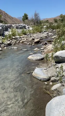 Relaxing in nature today 🥺 #fypシ