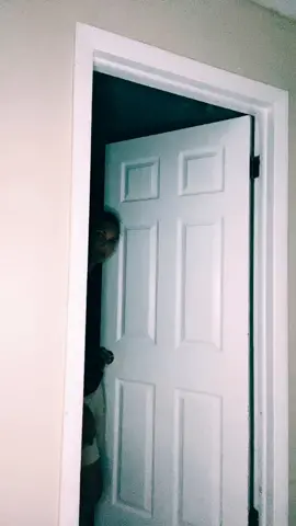 #lgbtq #fyp #viral #funnyvideos #tik_tok #entertainment #fun