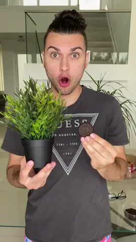 Oreo dirt prank 🤣 #tiktok #foryou #foryoupage