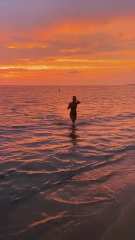 west michigan sunsets>>