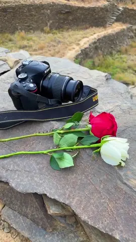 مابرضى بأحد ثاني يا أريش العينلاتبعد وتنساني ما أقدر انساك