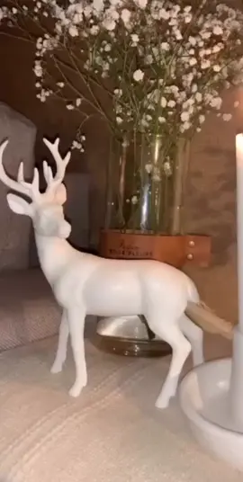 #اكسبلور_explore