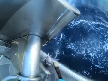 I struggle to find video where I don’t miss a fish #fishing #fish #blueeye #gemfish #trevalla #australia #nz #seafood