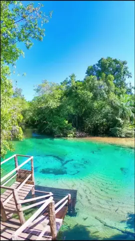 O paraíso existe! 😍💚 Local: Rio da Prata / Jardim, MS. by:@fernando_maydana #tiktokviagem #bonitomsoficial #paixaoporviajar #foryou #mariahmagah #fy