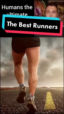 The best runners on the planet! #LearnOnTikTok #Science #run #runner #Fitness #health #learnformme  #mindblown #athlete #EduTok #fyp #TikTokTaughtMe