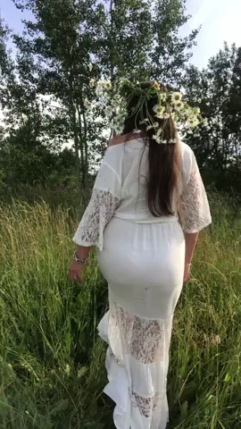 #ромашки #ромашкиспрятались #вполях #поляроссии #Summer #lady_s_v #ladysv