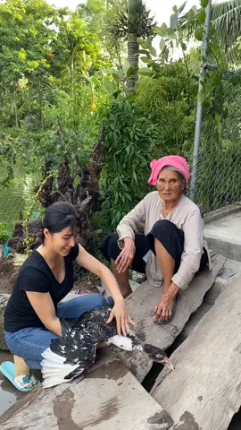 Hồi đó đó rồi đăng lại xem có được tim nào không nè 🤭 Mn follow Facebook Gào nhé : Vũ Thị Hồng Hà ( Gào kitty ) #gào #gao