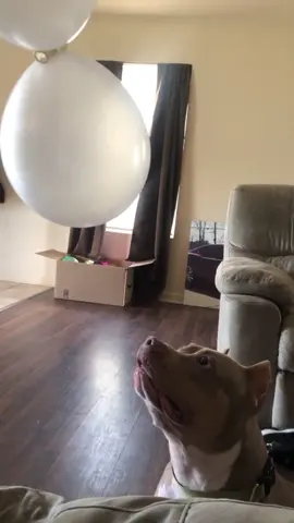 She didn’t like the popping haha