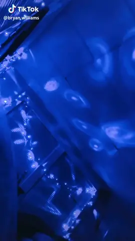 Goodnight all my queens & King I love you all and people should know this video including Bryan because let’s go back to 2019 VC - @bryan.williams 💕