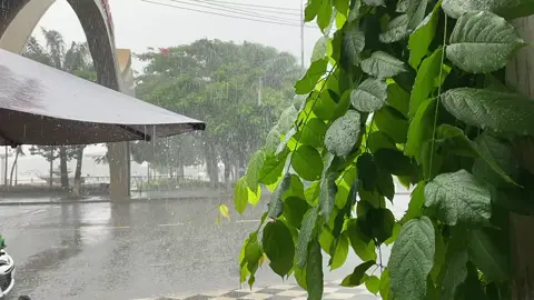 Một chiếc clip mưaaa vào sáng nay #rain