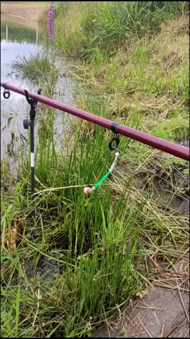 Mieliście kiedyś branie na dwóch wędkach jednocześnie? 🐟 #fishing #wędkarstwo #fish #ryba #funny #dlaciebie #dc #foryou #milegodnia #fishingrod