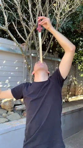 #magic #foryou #fyp #tiktoksa #tiktoksouthafrica