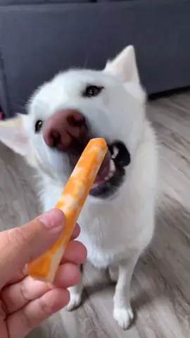 Are you like Bliss or Bambi when it comes to food? 😋