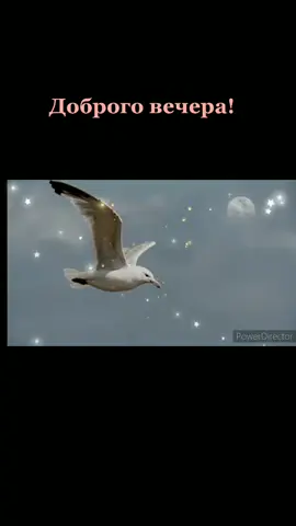 #жизнь#доброговечера#море