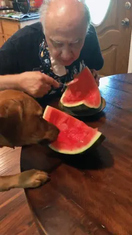 🍉 with Grandpa - OMG, the moment when they look at each other 😍 #familythings #watermelon #watermelonsugar #hungryeyes #magicmoment #fyp