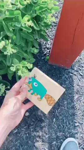 Let’s get him to all 50 states! Duet when you find him and where you put him! #perry #wheresperry #fyp #foryou