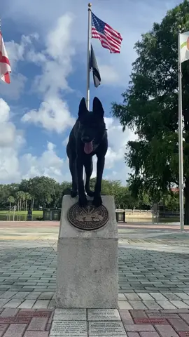 God bless #America #🇺🇸 #LaceEmUp #OneLoveOneHeart #🐕 #dogsareawesome #merica #usa