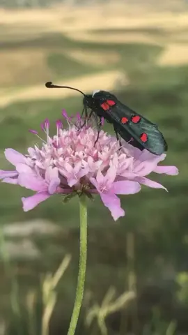 La naturaleza hermosa!!!!! 🌎 #myorit #jovi35 #naturaleza #casacomun