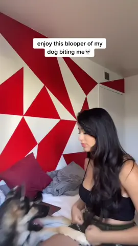 he’s an energetic puppy...