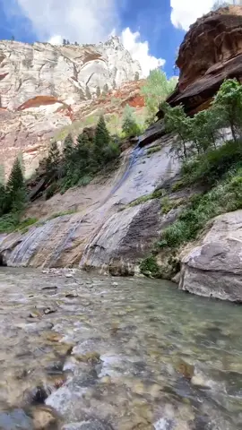 About my trip to Zion.One of those places that makes u feel like you’re on another planet. #zion #zionnationalpark #travel #nature #utah #travelguide