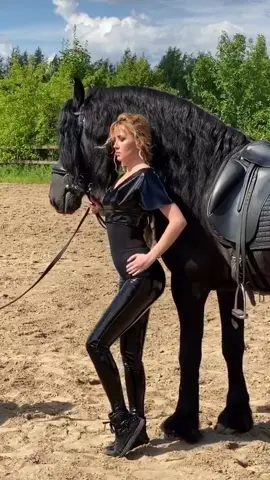 Backstage с фотосессии фризского жеребца Бумера и Элеоноры 🖤🖤. #fairytale_horse #фотосессия #backstasge #artwork #black #friesian #photomagic #photo