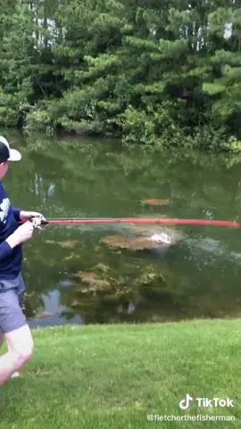 This has to be a world record for fastest catch 🎣 (via @fletcherthefisherman) #fish #fishing #wow #crazy