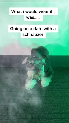 the cutest version of this trend