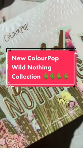 New @colourpopco Wild Nothing collection #TikTokFanFest #PostAMemory #makeup #colourpopco #drugstoremakeup #foryoupage #fyp#colourpopcollection