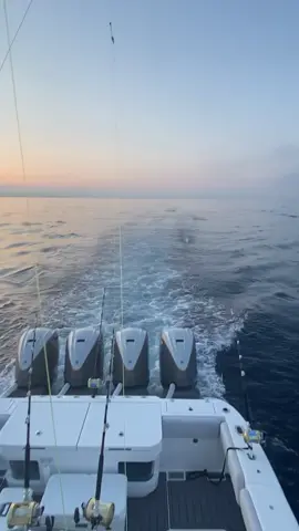 trolling bars 💫 #fishing #foryou