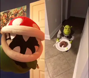 #duet with @wtfcalvin  Piranha scared Shrek! 😂🤣 #piranhaplant#fyp#shrek#foryou#foryoupage