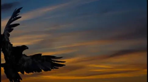 hafar baad KU nooshahay #maxamedbakaalciro #idiriskosla #premdaada