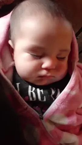 duerme La Chancha😍
