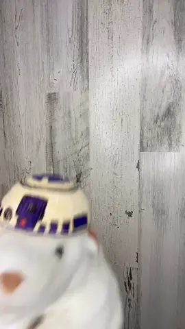 #R2D2cosplay #puppetcosplay #FidgetTheChurchMouse rocks the #droidstyle #Maythefaithbewithyou #Jesuslovesyou #starwars