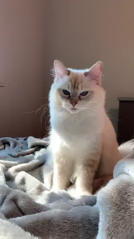 I like to start my day with Summer making me my morning biscuits