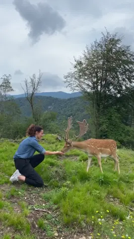 Emozioni ❤️ #perte #natura #animals