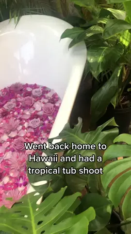 Follow @alohaparadisetub on IG 🌺 #Hawaii #photoshoot #purple #beauty #photoshootidea