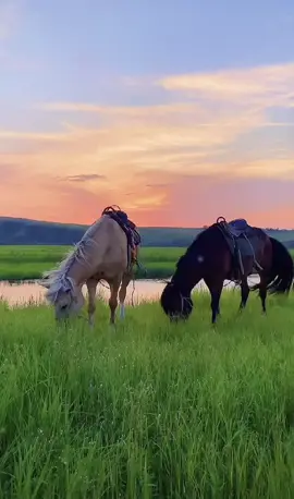 So amazing to see you,like a couple,and like lover too. #beautiful #amazing #fyp #travel