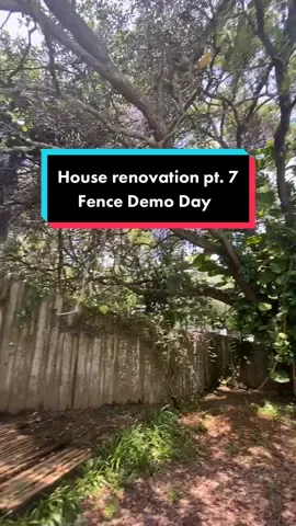 Another snake encounter 👀 #yardwork #demoday #houserenovation #DIY #jungalow