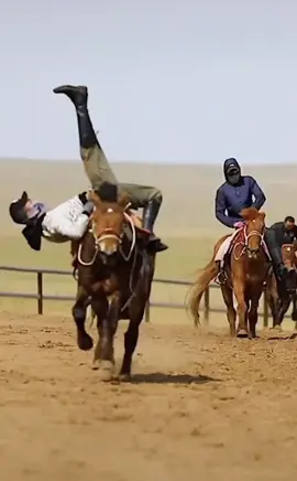 #travel #horse #hoserider #china