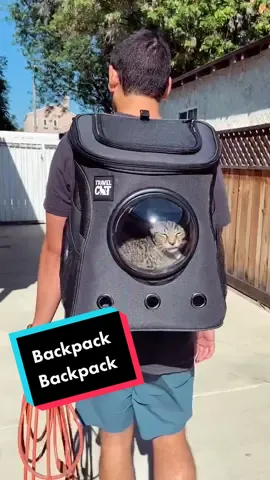 Trying out my new @travelcatshop backpack while Dad does yard work #NatureVibes #SummerWorkout #fyp #cats