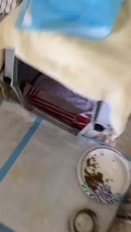 What can possibly live in here ? #pet #animal #nameit