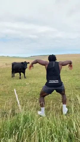 Too funny to forget 🤣 #fyp #cow