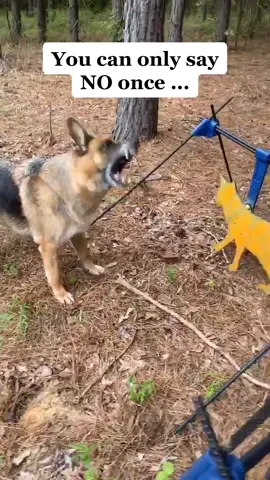 you can only say NO once