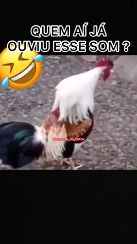 😂🤣😂 #humor #memes #meme #engraçado #tiktok #music #viral #animals #animal