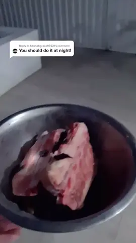 Reply to @hannahgrace99221 you got it! he found it so fast 😂#foryou #bestdogontiktok #fyp