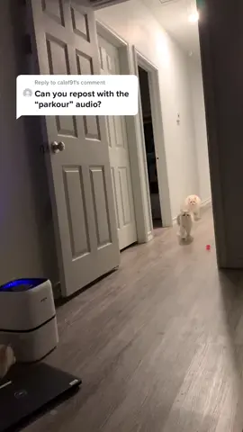 Reply to @calaf91 You were right. This audio goes perfectly with the video lol